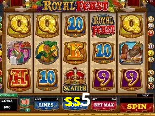 Security Systems ss5