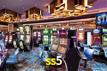 Interface Premium ss5