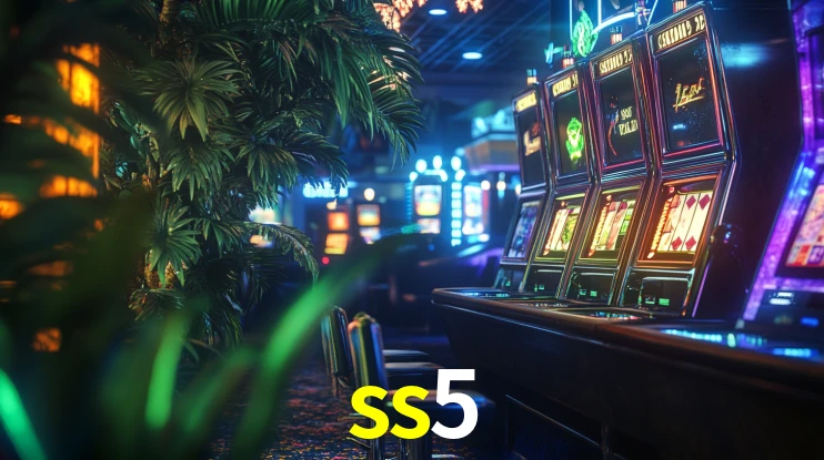 Premium Interface ss5